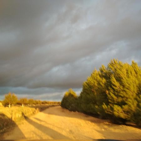 Casa Rural La Galana Albacete 친치야 데 몬테-아라곤 외부 사진