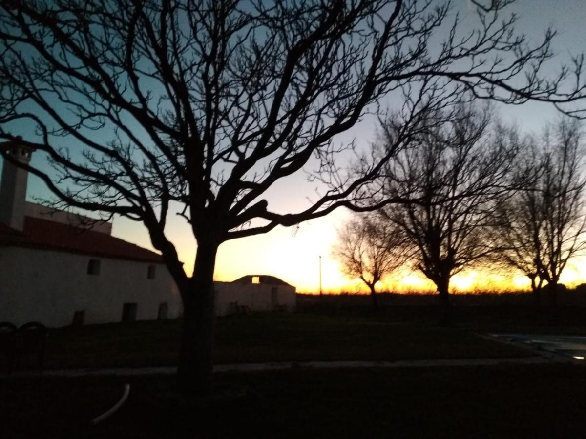 Casa Rural La Galana Albacete 친치야 데 몬테-아라곤 외부 사진
