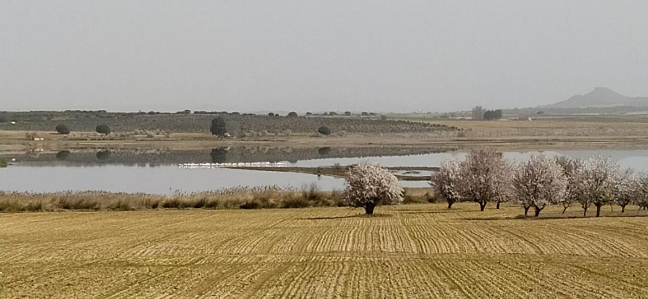Casa Rural La Galana Albacete 친치야 데 몬테-아라곤 외부 사진